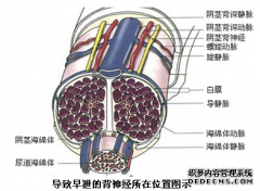 毕节早泄医院哪家好.